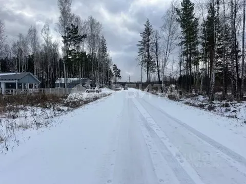 Участок в Тюменская область, Нижнетавдинский район, с. Тюнево  (12.0 ...