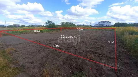 Участок в Брянская область, Брянский район, Новодарковичское с/пос, ...