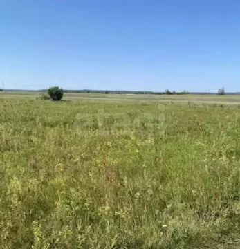 Участок в Саха (Якутия), Жатай городской округ, Жатай рп  (9.4 сот.)