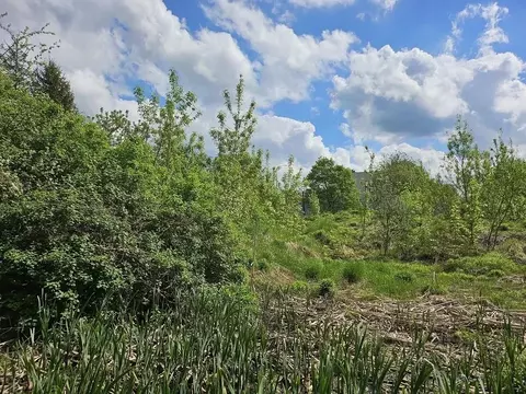 Участок в Московская область, Одинцовский городской округ, Лайково кп  ...