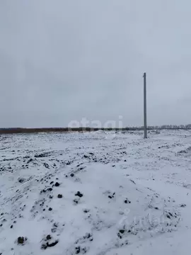 Участок в Белгородская область, Белгородский район, Головинское с/пос, ...