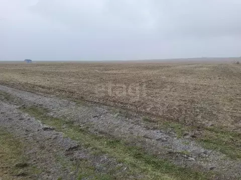 Участок в Крым, Ленинский район, Семисотское с/пос, с. Каменское ул. ...