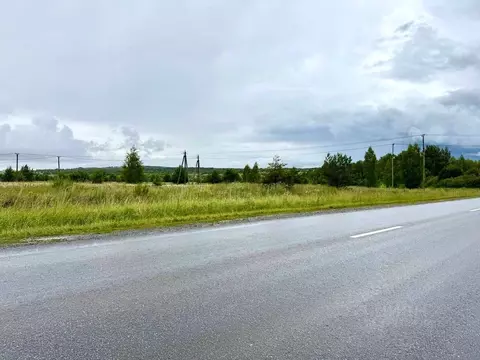 Участок в Татарстан, Пестречинский район, Богородское с/пос  (10.0 ...