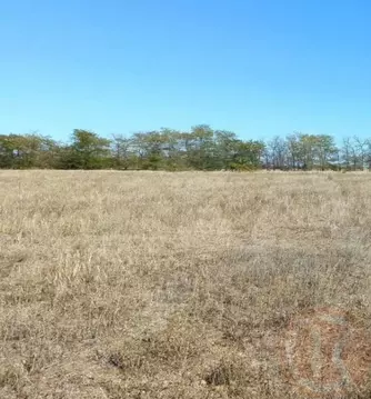 Участок в Крым, Симферопольский район, Николаевка пгт  (6.0 сот.)