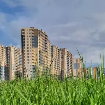 Арцеуловская аллея спб. Чистое небо арцеуловская. Чистое небо арцеуловская. Арцеуловская аллея 21 1. Арцеуловская аллея 21 1.