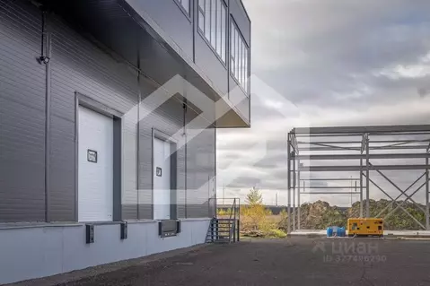 Помещение свободного назначения в Московская область, Раменский ...