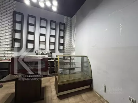 Помещение свободного назначения в Калининградская область, Калининград ...