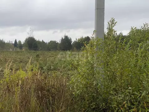 Участок в Калужская область, Боровский муниципальный округ, Кривское ...