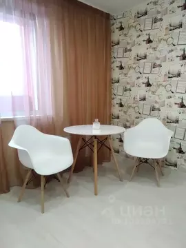 Студия Челябинская область, Миасс бул. Карпова, 7 (24.0 м)