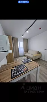 Студия Санкт-Петербург ул. Пахомовская, 14к2 (20.8 м)