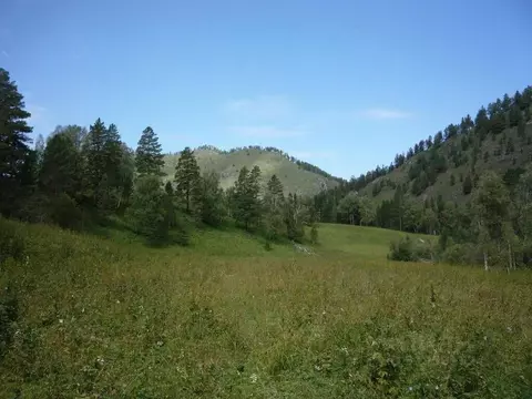 Производственное помещение в Алтай, Чемальский район, с. Чемал ул. ...