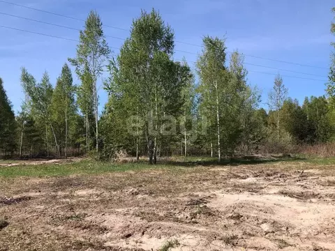 Участок в Тюменская область, Нижнетавдинский муниципальный округ, с. ...