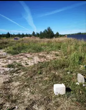 Участок в Нижегородская область, с. Безводное  (8.0 сот.)