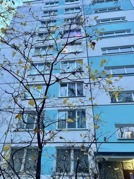 2-комнатная квартира: Санкт-Петербург, Софийская улица, 32к1 (44.5 м)