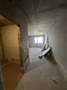 Студия Новосибирская область, Новосибирск Беловежская ул., 50 (27.3 м)