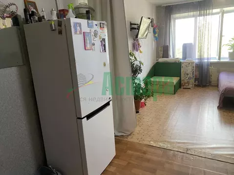 Комната Забайкальский край, Чита ул. Ползунова, 17 (18.4 м)