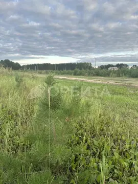 Участок в Тюменская область, Тюменский муниципальный округ, с. Борки ...