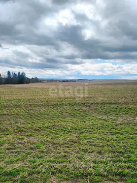 Участок в Свердловская область, Нижнесергинский район, Дружининское ...
