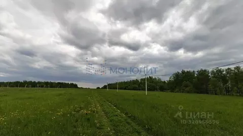 Участок в Нижегородская область, Дальнеконстантиновский муниципальный ...