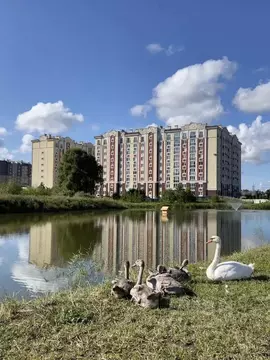 1-к кв. Калининградская область, Зеленоградск ул. Тургенева, 12А (43.0 ...