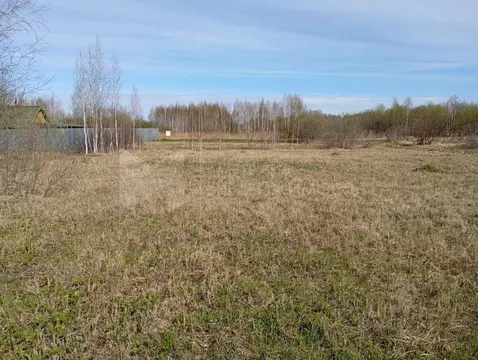 Участок в Тюменская область, Нижнетавдинский муниципальный округ, ...