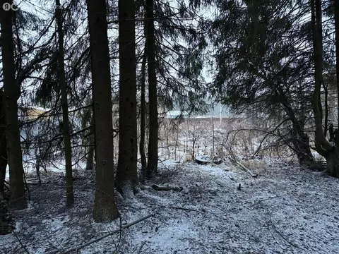 Участок в Владимирская область, Александровский муниципальный округ, ...