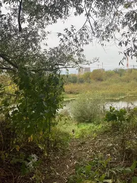 Участок в Московская область, Мытищи Центральная ул., 41 (9.0 сот.)