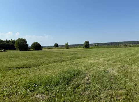 Участок в Московская область, Кашира городской округ, пос. Большое ...