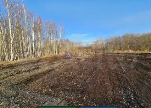 Участок в Тюменская область, Нижнетавдинский муниципальный округ, ...