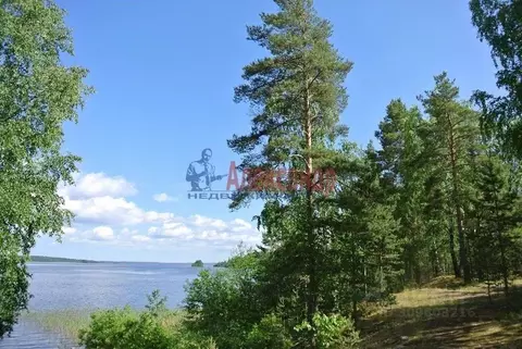 Участок в Ленинградская область, Выборгский район, Гончаровское с/пос, ...