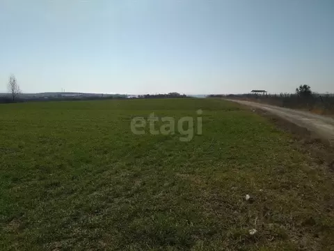 Участок в Крым, Кировский район, Журавское с/пос, с. Новопокровка ул. ...