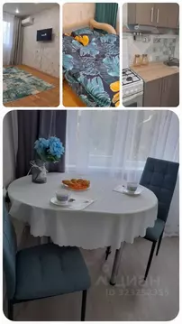 1-к кв. Краснодарский край, Краснодар ул. Селезнева, 140 (29.0 м)