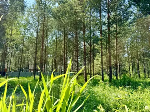 Участок в Ярославская область, Переславль-Залесский муниципальный ...