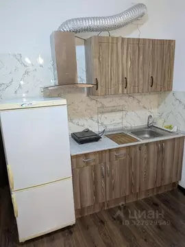 Студия Санкт-Петербург ул. Плесецкая, 16 (24.7 м)