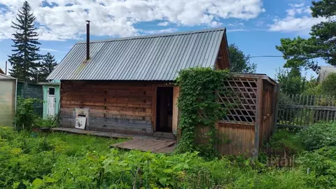 Дом в Омская область, Омск Крона СНТ, 241 (15 м)