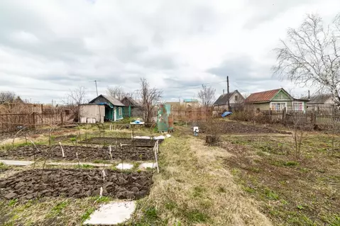 Дом в Курганская область, Курган Кедр СНТ,  (10 м)