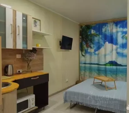 Студия Белгородская область, Старый Оскол Макаренко мкр, 33В (16.0 м)