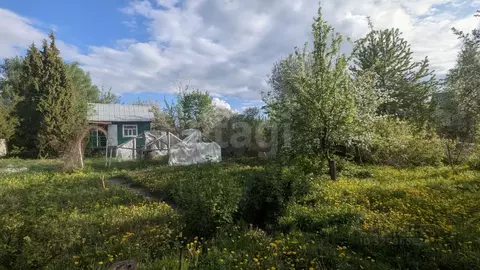Участок в Брянская область, Брянск Дормаш-3 садовое общество,  (11.0 ...