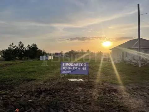 Участок в Воронежская область, Рамонский район, с. Новоживотинное ...