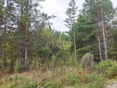 Участок в Свердловская область, Талица ул. Луначарского (10.0 сот.)