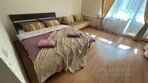 1-к кв. Московская область, Солнечногорск городской округ, Андреевка ...