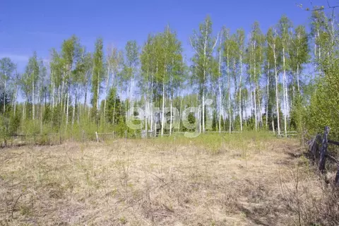 Участок в Ханты-Мансийский АО, Ханты-Мансийск Учитель-3 СОТ,  (14.0 ...