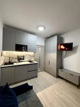 Студия Санкт-Петербург аллея Арцеуловская, 9 (25.0 м)