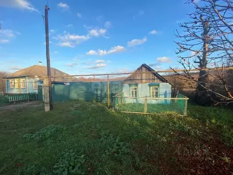Дом в Белгородская область, Корочанский район, Большехаланское с/пос, ...