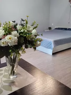 Студия Московская область, Звенигород Одинцовский городской округ, ул. ...