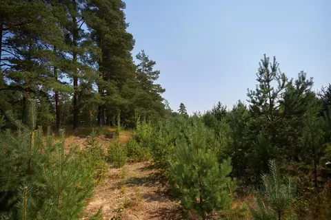 Участок в Ленинградская область, Выборгский район, Первомайское с/пос, ...