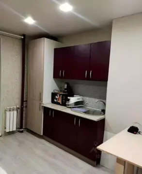 Студия Рязанская область, Рязань ул. Большая, 106к1 (22.3 м)