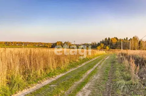 Участок в Вологодская область, пос. Грибково  (8.0 сот.)