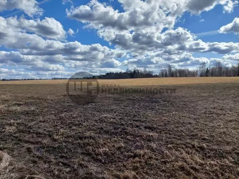 Участок в Ленинградская область, Тихвинский район, Пашозерское с/пос, ...