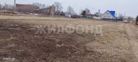 Участок в Новосибирская область, Ордынский район, с. Верх-Ирмень ...